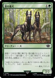MTG 補充　ドイツ語　1枚　激レア？ m37117910967_1.jpg?1712148260