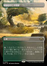 吹きさらしの荒野　ボーダーレス　英語　Foil MTG 買取相場】-MtG-(英)【Foil】吹きさらしの荒野 / Windswept