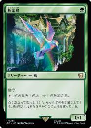 ミントモール / MINT GAMES MTG(東日本橋) / 【LTC】【JPN ミントモール / MINT GAMES MTG(東日本橋) / 【LTC】【JPN