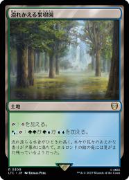 foil　EVE・溢れかえる果樹園/Flooded Grove　２枚 flooded_grove.jpg
