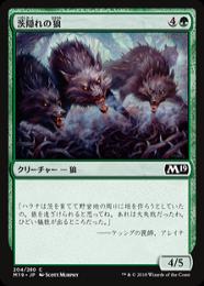 【M19】【JPN】【Foil】《茨隠れの狼/Thornhide Wolves》