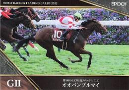 ミントモール / MINT BASE店 (TCシングル通販) / EPOCH ホース