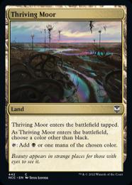 【NCC】【ENG】《興隆する湿地帯/Thriving Moor》