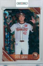 プロ野球ガード 06281318_6a40a07c53bf5.jpg