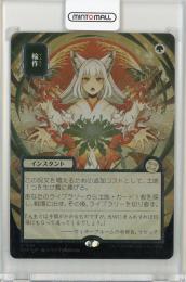 ミントモール / MINT 名古屋店 / 【JPN】【Foil】《輪作/Crop Rotation》
