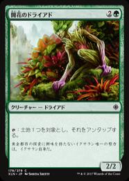 【XLN】【JPN】《開花のドライアド/Blossom Dryad》