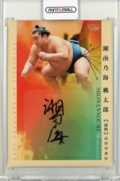 ミントモール / MINT 仙台店 / 2024 BBM 大相撲カード 湘南乃海 桃太郎 