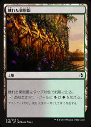 【AKH】【JPN】《穢れた果樹園/Foul Orchard》