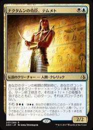 【AKH】【JPN】【Foil】《ナクタムンの侍臣、テムメト/Temmet, Vizier of Naktamun》