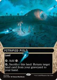 MTG【石化した原野/Petrified Field】foil ODY ミントモール / MINT GAMES MTG(東日本橋) / 【EOS】【ENG