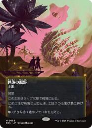 睡蓮の原野　foil 　日本語　4枚 ミントモール / MINT GAMES MTG(東日本橋) / 【EOS】【JPN