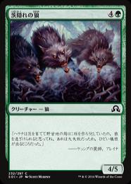 【SOI】【JPN】【Foil】《茨隠れの狼/Thornhide Wolves》