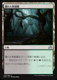 【SOI】【JPN】【Foil】《穢れた果樹園/Foul Orchard》