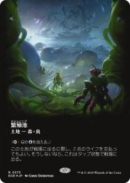 ミントモール / MINT GAMES MTG(東日本橋) / 【EOE】【JPN