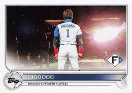 新庄剛志　BIGBOSS npbベースボールカード 2022 新庄剛志 BIGBOSS npbベースボールカード 2022 S-45 【BIGBOSS