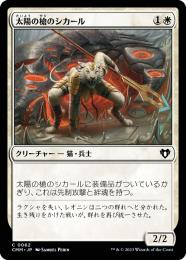 MTG　日本語　foil　アカデミーの事務局長レイン MTG 日本語 foil アカデミーの事務局長レイン