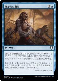 MTG foil 34枚セット ミシュラのガラクタ 湖に潜む者、エムリー モダン ミントモール / MINT GAMES MTG(東日本橋) / 【TDM】【JPN