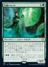ミントモール / MINT GAMES MTG(東日本橋) / 【C21】【JPN