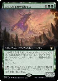 直送商品 THB)ニクス咲きの古きもの(F)/NYXBLOOM ANCIENT