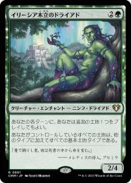 MTG イリーシア木立のドライアド foil イリーシア木立のドライアド/Dryad of the Ilysian Grove《日本