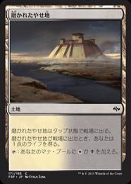 【FRF】【JPN】《磨かれたやせ地/Scoured Barrens》