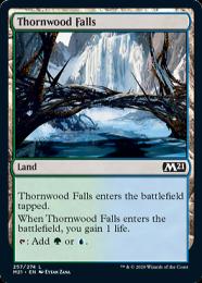 【M21】【ENG】【Foil】《茨森の滝/Thornwood Falls》