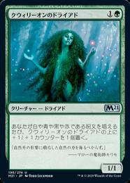 MTG クウィリーオンのドライアド　ホイル ミントモール / MINT GAMES MTG(東日本橋) / 【M21】【JPN】【Foil