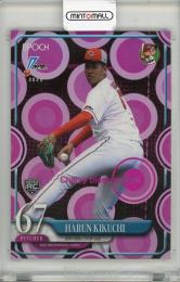 テディベア(チェリーブロッサム)稀少 レア 08101802_6898602a62a1e.jpg