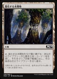 【M20】【JPN】【Foil】《進化する未開地/Evolving Wilds》