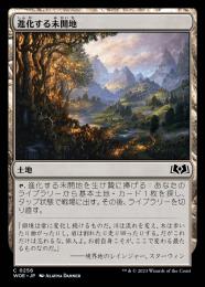 【WOE】【JPN】《進化する未開地/Evolving Wilds》