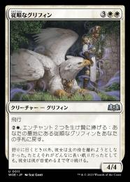 【WOE】【JPN】【Foil】《従順なグリフィン/Dtifl Griffin》