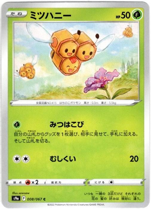 ミントモール Team Mint店 S9a ミツハニー C ミントモール Team Mint店 S9a ミツハニー C