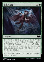 【糀】モデーアブライトニングガード5本、ダブルクレンザー5本 ミントモール / MINT GAMES MTG(東日本橋) / 【WOE】【JPN】〈186-C-G