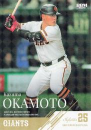 リストガード(巨人片岡選手使用済み) 野球