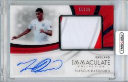 ミントモール / MINT 札幌店 / 2018-19 PANINI Immaculate