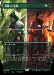 ミントモール / MINT GAMES MTG(東日本橋) / 【WOT】【JPN