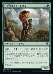 MTG 日を浴びるルートワラ foil ミントモール / MINT GAMES MTG(東日本橋) / 【DMU】【JPN