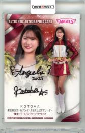 AKB48 ヴィレッジヴァンガード クリスマス 生写真 チームA チームK AKB48 ヴィレッジヴァンガード クリスマス 生写真 チームA
