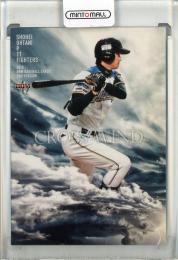 【超貴重】BBM 2013 大谷翔平 プロ２勝目 記念カード ミントモール / MINT 池袋店 / 2013 BBM 2nd Version 大谷翔平