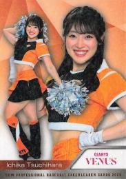 土原一花 BBM チアリーダー 2023 舞 ジャイアンツ チェキ 74 【土原一花 (巨人/VENUS)】BBM プロ野球チアリーダーカード