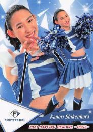 ミントモール / MINT BASE店 (TCシングル通販) / 2023 BBM プロ
