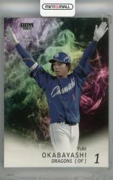 「希少」ジャングルミント Jungle Mint 激レア　大株 希少」ジャングルミント Jungle Mint 激レア 大株