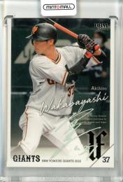 元読売ジャイアンツ　若林晃弘選手　サイン入りバット　日本ハム　引退 ミントモール / MINT 立川店 / 2022 BBM 読売ジャイアンツ 若林晃弘