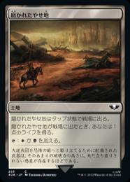 【40K】【JPN】《磨かれたやせ地/Scoured Barrens》