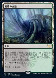 【STX】【JPN】【Foil】《屍花の交錯/Necroblossom Snarl》