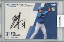 ミントモール / MINT 梅田店 / 2025 BBM ICONS -PROSPECT- 柴田