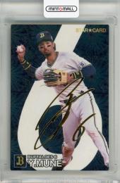 カルビー野球カード 「やましん様」専用 カルビー野球カード 「やまし