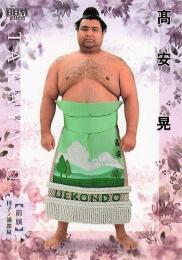 t*n様 【美品】大相撲名勝負 公認メダルセット 5枚 銀製 大相撲グッズ - 日本相撲協会公式サイト