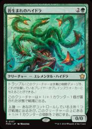 苔生まれのハイドラ　ボーダーレス　非フォイル　4枚 ミントモール / MINT GAMES MTG(東日本橋) / 【FDN】【JPN】《苔