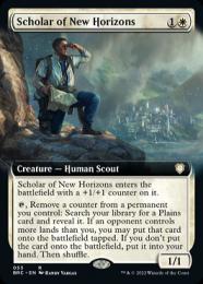 MTG 大地の知識 ２枚セット MtG 大地の知識 【TMP】 日本語